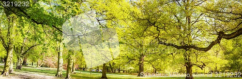 Image of Park in spring time