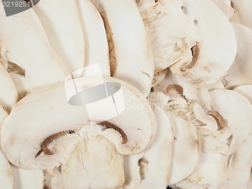 Image of Champignon mushroom background