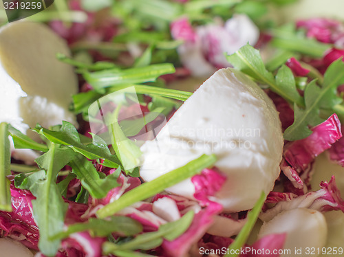 Image of Lettuce salad
