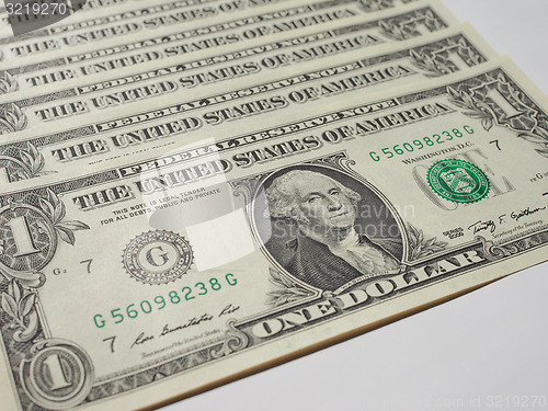 Image of Dollar notes 1 Dollar