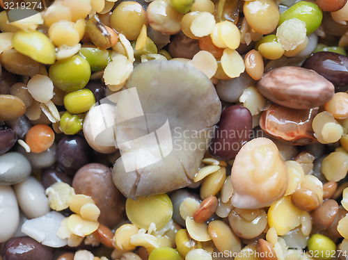 Image of Beans vegetable salad