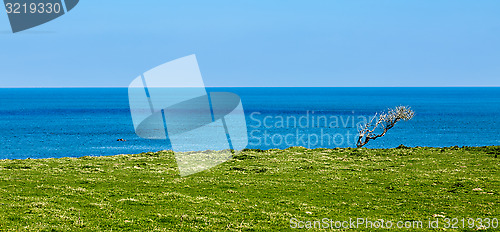 Image of Green Coast - Brittany, France