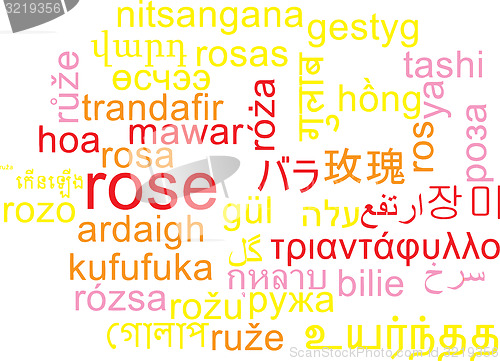 Image of Rose multilanguage wordcloud background concept