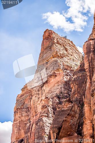 Image of Zion Canyon National Park Utah