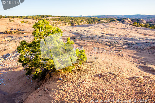 Image of Navajo National Monument canyons