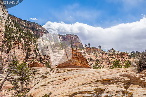 Image of Zion Canyon National Park Utah