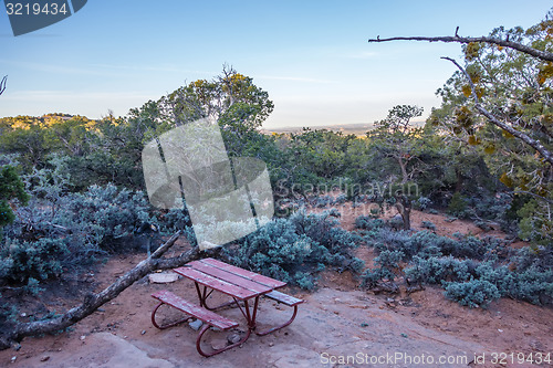 Image of An ancient gnarled juniper tree near Navajo Monument park  utah