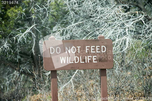 Image of do not feed wildlife sign