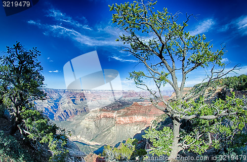 Image of landscapes at grand canyon arizona