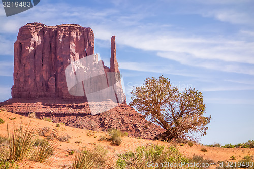 Image of A tree and a butte in Monument Valley