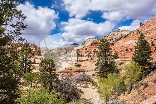 Image of Zion Canyon National Park Utah