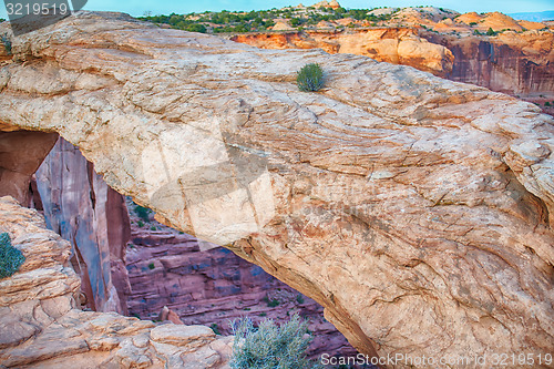 Image of famous Mesa Arch in Canyonlands National Park Utah  USA