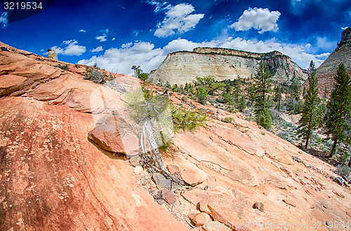 Image of Zion Canyon National Park Utah