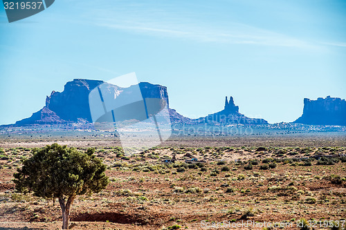 Image of A tree and a butte in Monument Valley