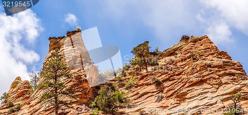 Image of Zion Canyon National Park Utah