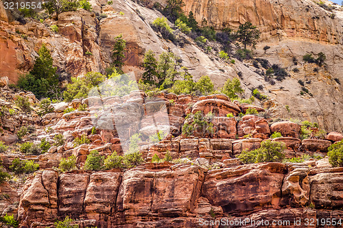 Image of  views of Canyonlands National Park