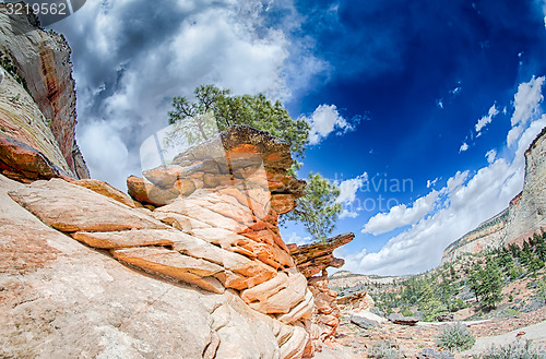 Image of Zion Canyon National Park Utah