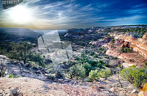 Image of Canyonlands National park Utah