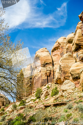 Image of  views of Canyonlands National Park