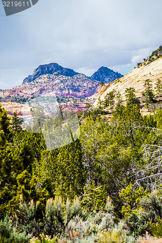 Image of Zion Canyon National Park Utah