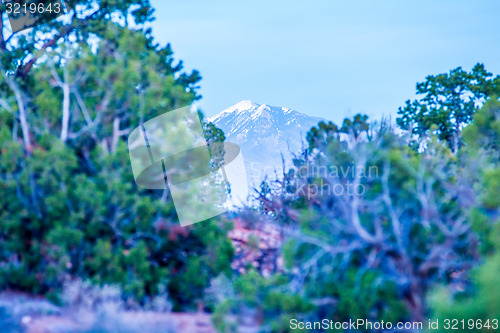 Image of Canyonlands National park Utah