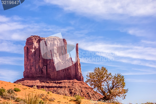 Image of A tree and a butte in Monument Valley