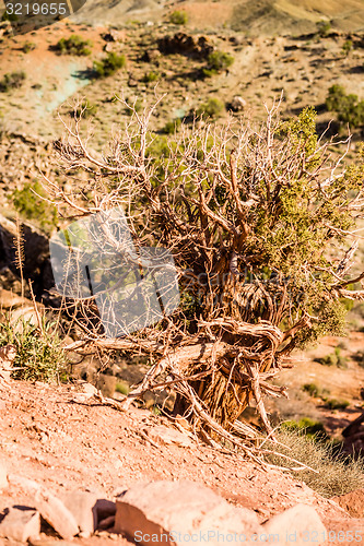 Image of Arches National Park  Moab  Utah  USA