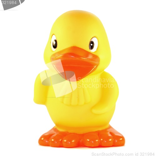 Image of Duck toy