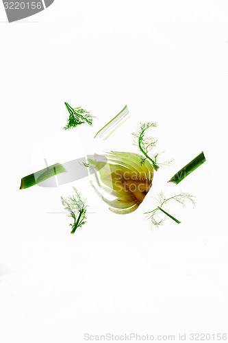 Image of Parts of a raw fennel thinly cut open.