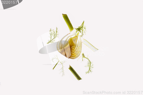 Image of Parts of a raw fennel thinly cut open.