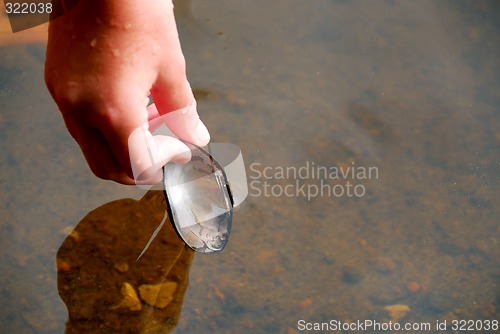 Image of Hand with shell