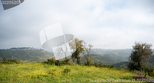 Image of Spring season landscape