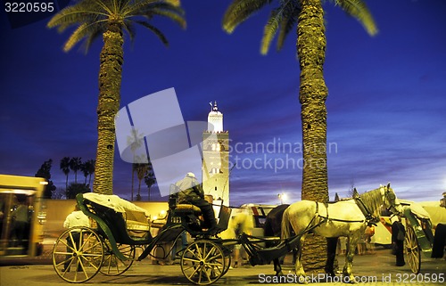 Image of AFRICA MOROCCO MARRAKESH