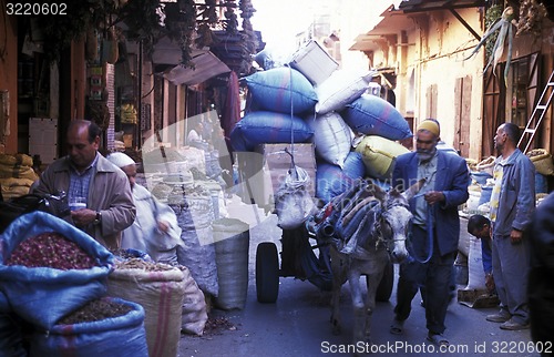 Image of AFRICA MOROCCO MARRAKESH