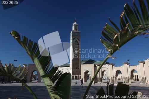 Image of MAROKKO CASABLANCA