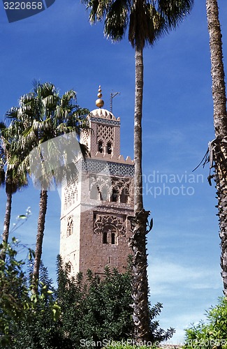 Image of AFRICA MOROCCO MARRAKESH