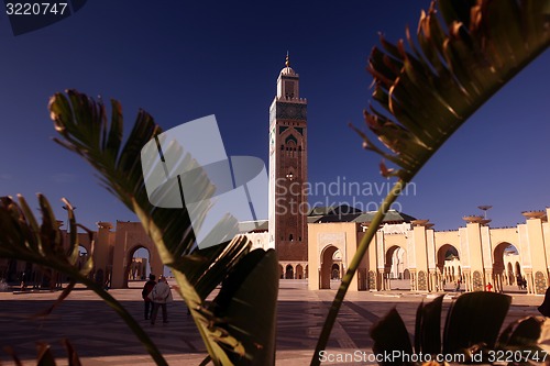 Image of MAROKKO CASABLANCA
