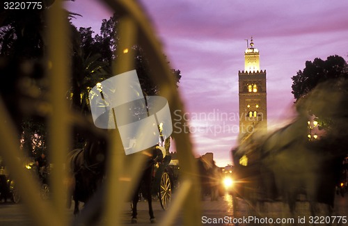 Image of AFRICA MOROCCO MARRAKESH