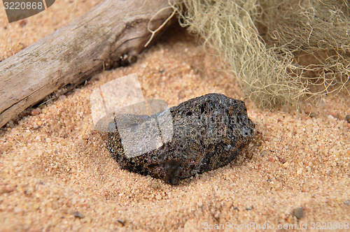 Image of Lava on beach