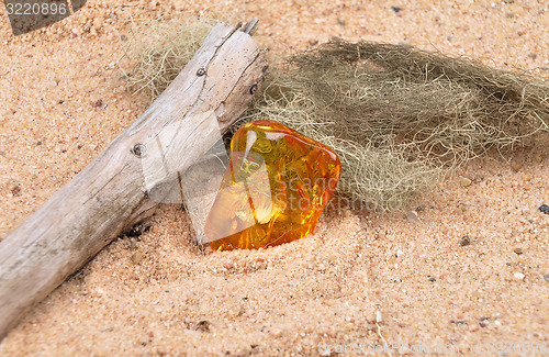 Image of Amber on beach