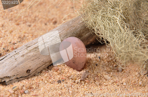 Image of Rose quartz on beach