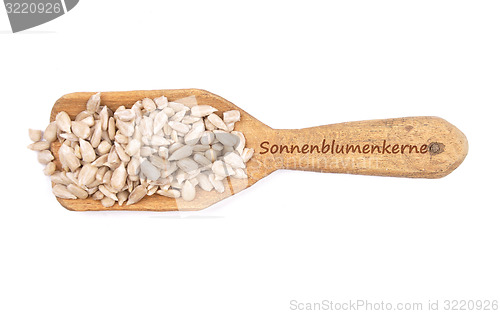 Image of Sunflower seeds on shovel