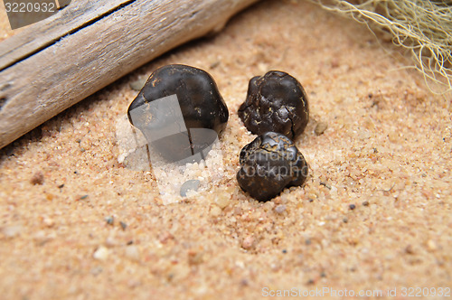 Image of Tektite on beach