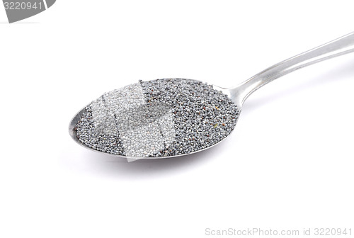 Image of Poppy seeds on spoon