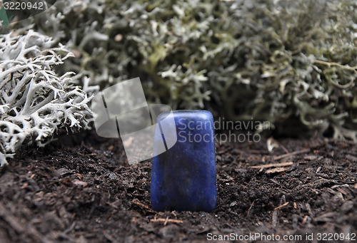 Image of Sodalite on forest floor