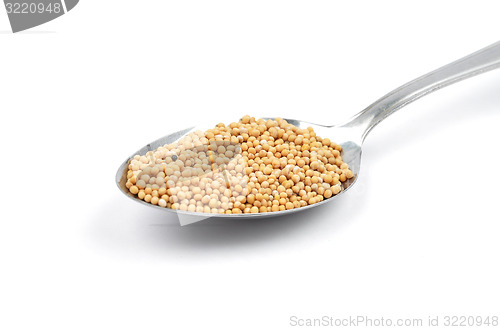 Image of Mustard seeds on spoon