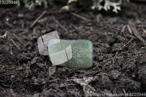 Image of Moss agate on forest floor