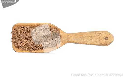 Image of Caraway seeds on shovel