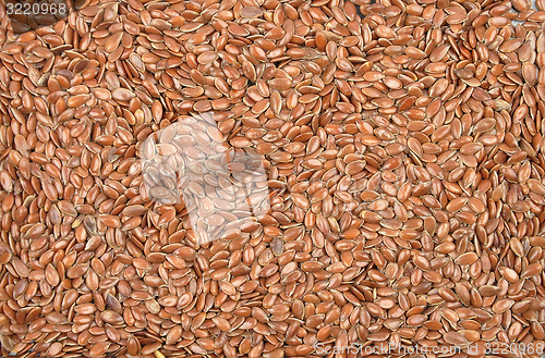 Image of Flax seed 