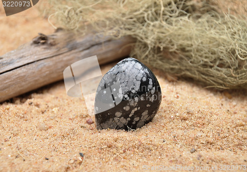 Image of Snowflake obsidian on beach